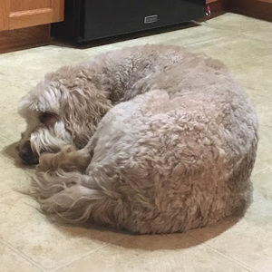 Meet your Posher, Karlye